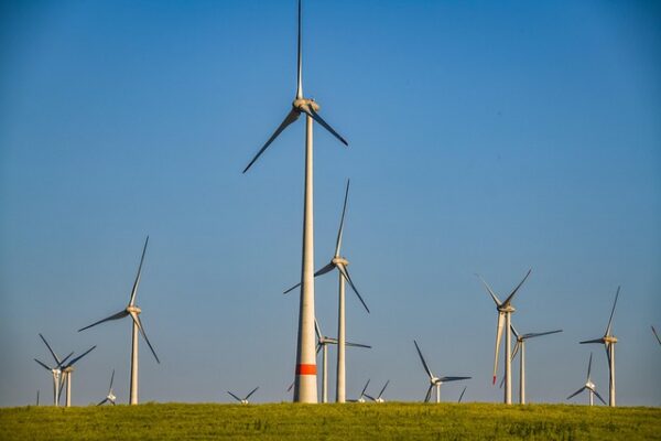 Energía Renovable y Empleo: Creando Trabajos del Futuro