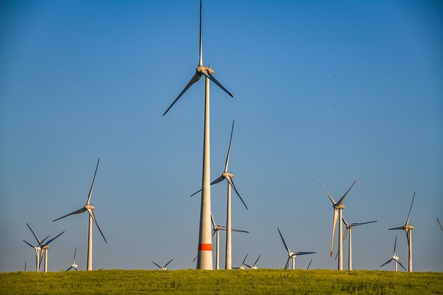 Energía Renovable y Empleo: Creando Trabajos del Futuro